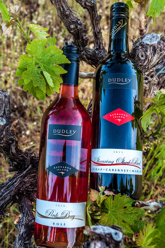 IMG_5918 - GALLERY.JPG